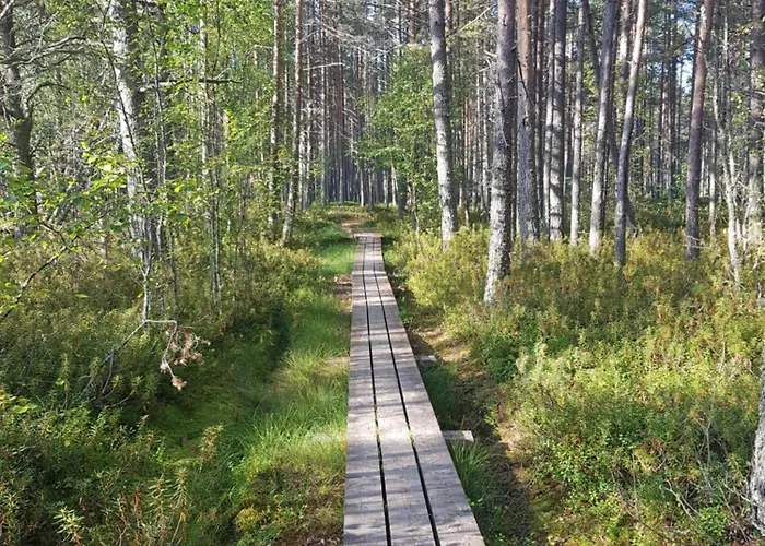 Ranta-sumpun Helmi 10 House With Sauna * 海卢奥托